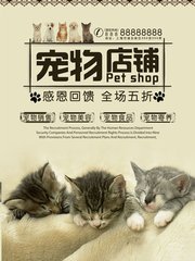 Ethereum钱包苹果版